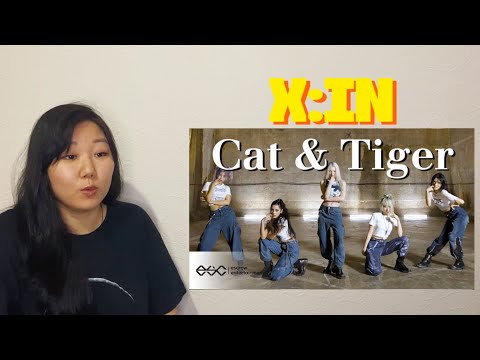 Видео: Реакция на X:IN 엑신 'Cat & Tiger' Performance Video | REACTION TO X:IN CAT & TIGER