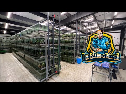 Видео: Посещение крупнейшей рыбоводческой фермы Великобритании