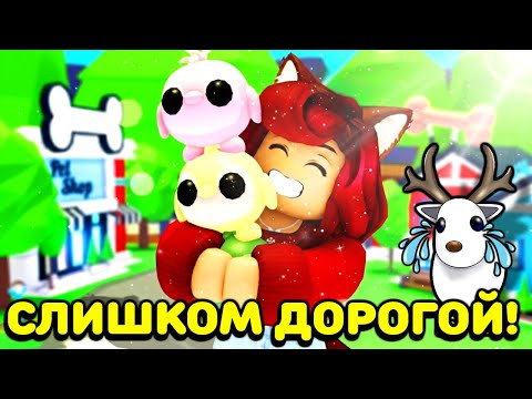Видео: СКОЛЬКО-СКОЛЬКО?😭Вы сумасшедшие! Ценность Пингвина Данго Зашкаливает! Админ Абьюз! Новости Адопт Ми