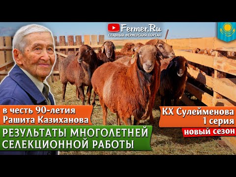 Видео: 90 лет Рашиту Казиханову. Селекционная работа и новые линии эдильбаевских овец в КХ Сулейменовых