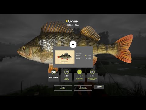 Видео: Старый Острог. Трофейный Окунь.