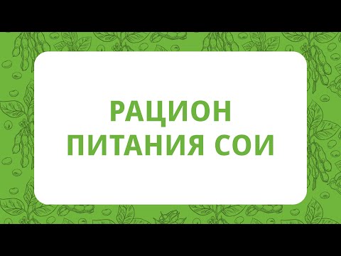 Видео: Рацион питания сои | Технология выращивания сои