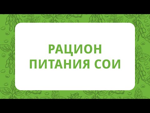 Видео: Рацион питания сои | Технология выращивания сои