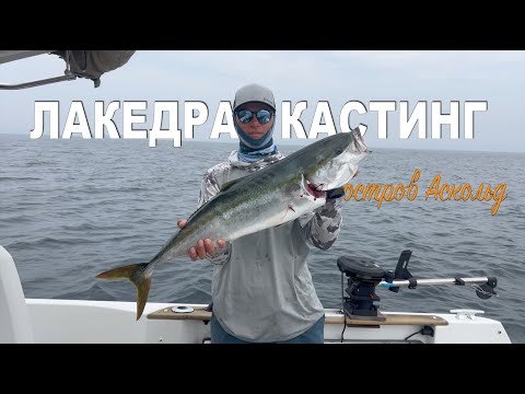 Видео: Лакедра в кастинг на острове Аскольд. #владивосток #fishing #русскоеморе #рыбалка