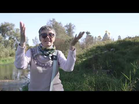 Видео: №869✨Наступил  5786 год