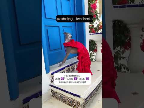 Видео: Знаки зодиака ⭐️ Астрология ⭐️ Гороскоп