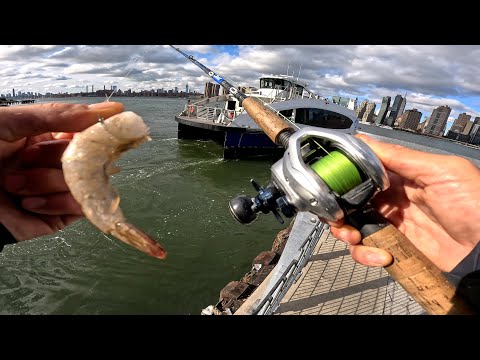 Видео: Зимняя рыбалка на камбалу в Нью-Йорке