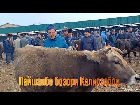 Видео: Пайшанбе бозори Калхозабод