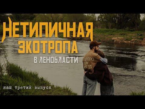Видео: Удивительная ЭКОТРОПА в 30 минутах от Питера. Мы оказались к ней НЕ ГОТОВЫ.