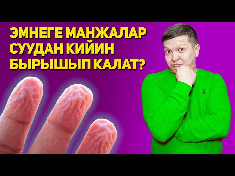 Видео: Адам денеси жөнүндө кызыктуу 10 ФАКТ! Сиз билгенсизби?