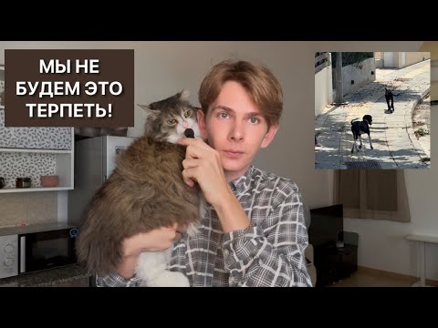 Видео: ДЕБОШ НА РАЙОНЕ! ИХ ПСЫ ВСЕХ ПОДНЯЛИ НА УШИ И НАПАЛИ НА КОТЯТ 😱