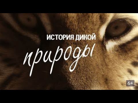 Видео: УНИКАЛЬНЫЕ СЪЕМКИ ПРОЦЕССА РАЗВИТИЯ ПРИРОДНЫХ ЯВЛЕНИЙ! История дикой природы  Фильмы для всей семьи