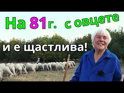 Видео: На 81 години баба Николинка е с овцете!
