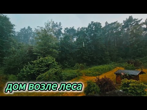 Видео: 8️⃣✔️НАШ ДОМ В ГЕРМАНИИ  / НУЖЕН СОВЕТ / +33 И ГРОЗА / ВЛОГ / #домвлесу