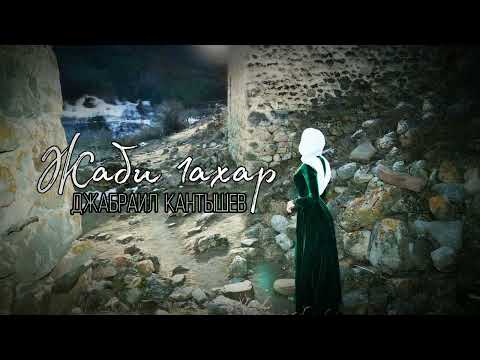 Видео: ИНГУШСКАЯ Песня Джабраил Кантышев - Жаби 1ахар