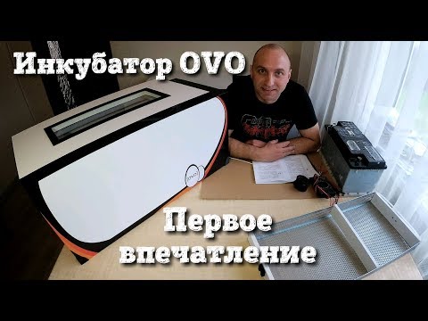 Видео: Инкубатор OVO-78//Первое впечатление