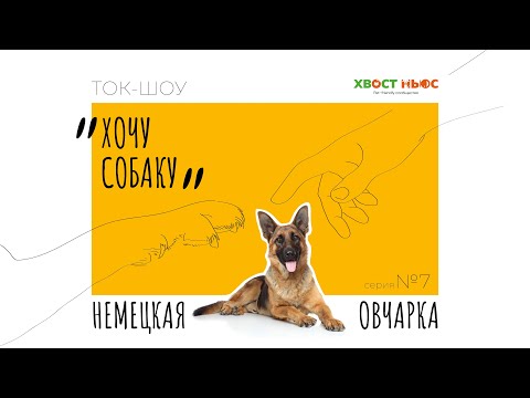 Видео: Ток-шоу "Хочу собаку".  Все что нужно знать о немецких овчарках начинающему владельцу