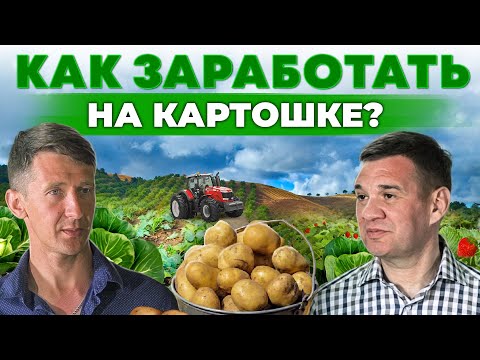 Видео: Самый лучший сорт картошки! Как хранить и продавать культуру? Картошка как бизнес | Андрей Даниленко