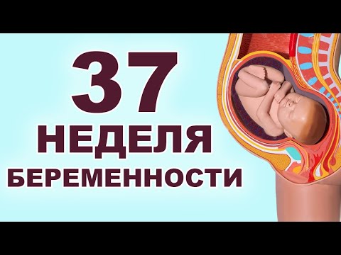 Видео: Что происходит с ребенком и мамой на 37 неделе беременности? 9 месяц беременности. Третий триместр.