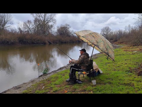 Видео: ПОПАЛИ НА ШАЛЕНИЙ КЛЬОВ У ПРОЛИВНИЙ ДОЩ. Рибалка на фідер