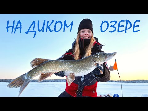Видео: ЭТА РЫБА СДЕЛАЛА ДЕНЬ НЕЗАБЫВАЕМЫМ! Подледная рыбалка на затерянном глухом озере.