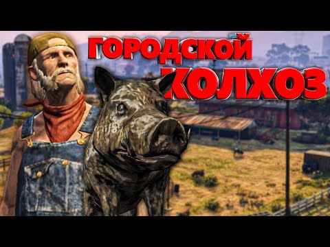 Видео: ГОРОДСКОЙ КОЛХОЗ в GTA RP 🐗 КАБАН СУЕТОЛОГ на MAJESTIC RP