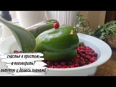 Видео: ♥️ ПЛАНЫ ♥️ ГОТОВЛЮ 🥰 РАЗГОВОР 😍