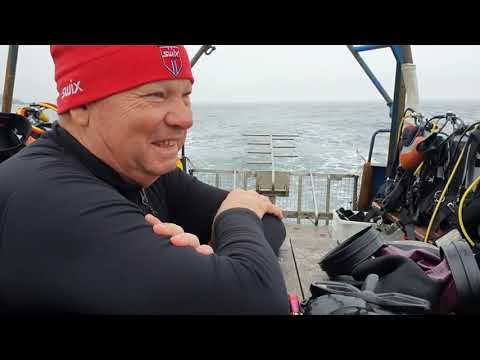 Видео: Дальние Зеленцы / Дайвинг на Баренцевом море