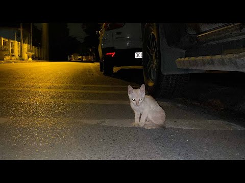 Видео: Поздно вечером, если ты все еще здесь, я отвезу тебя домой!