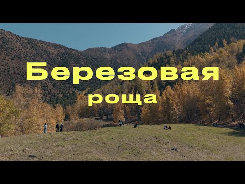 Видео: Путь к Берёзовой роще | Урочище Бойрок, Ала-Арча