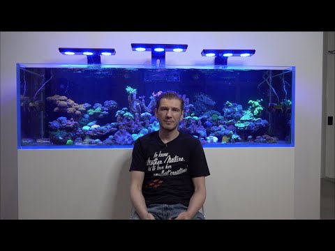 Видео: Пять заблуждений про море