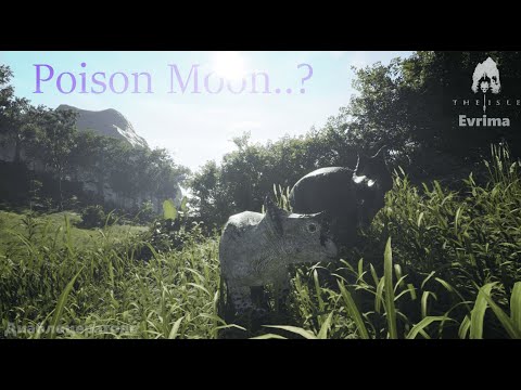 Видео: Poison Moon🌙 - Прогулки пельмешек