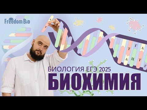 Видео: БИОХИМИЯ - вещества клетки |Общая биология| ЕГЭ БИОЛОГИЯ 2025|Freedom|