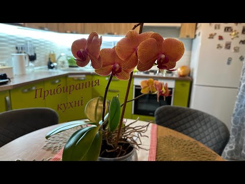 Видео: | 🧽🪣Генеральне прибирання кухні🧹 | Покупки з Аврори🛍️ |