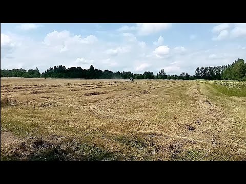 Видео: В деревне, один день - год кормит🌾