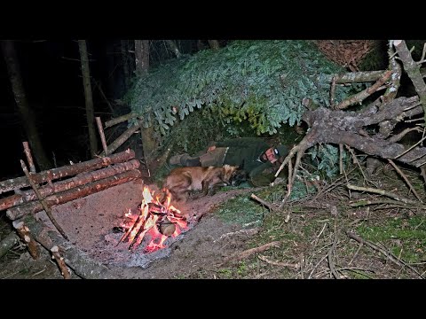 Видео: Выживание в горах с моей собакой | Примитивное убежище и ночь у костра