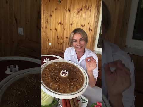 Видео: Готовим пастилу из арбуза и дыни 🍉 Прямой эфир с Ксенией