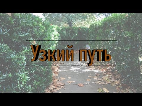 Видео: Узкий путь | Проповедь. Герман Бем