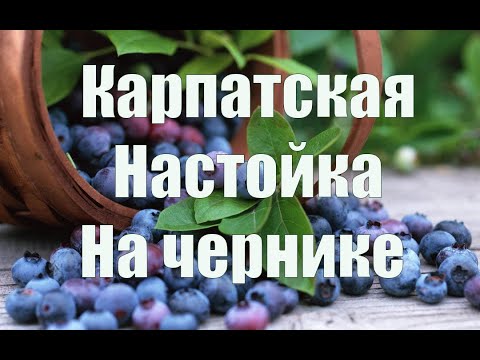 Видео: Настойка на чернике Карпатская Афиновка. Видео 18+