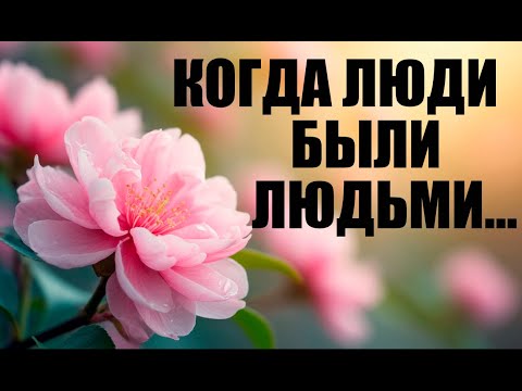Видео: Когда мы жили среди Людей... Наши "золотые годы"...