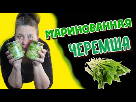 Видео: МАРИНОВАННАЯ ЧЕРЕМША на зиму/Вкусные РЕЦЕПТЫ/Солка на каждый день.