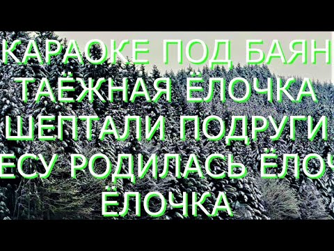 Видео: КАРАОКЕ- ТАЁЖНАЯ ЕЛЬ ( Шептали подружки , что ёлочка чудо ́) (В лесу родилась ёлочка)