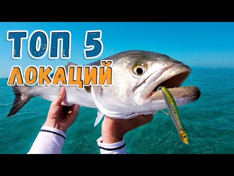Видео: ГДЕ ИСКАТЬ ЛУФАРЯ ? | 5 мест, которые действительно работают