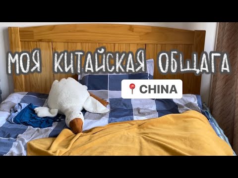 Видео: МОЯ ОБЩАГА В КИТАЕ 🪴🤍 //  будни студентки в китае