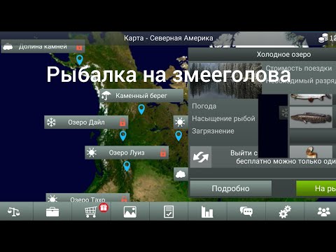 Видео: рыбалка на змееголова