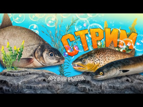 Видео: ПОДДЕРЖИ РЫБАКА СТРИМ РУССКАЯ РЫБАЛКА 4 #рыбалка #РусскаяРыбалка #Fishing