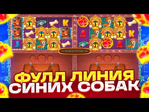 Видео: МЕГА ЗАНОСЫ С КАЖДОГО БОНУСА В THE DOG HOUSE MULTIHOLD!!! СЕРИЯ ЗАНОСНЫХ БОНУСОВ И МАКС ВИН!!!