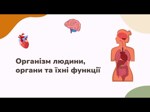 Видео: Організм людини, органи та їхні функції