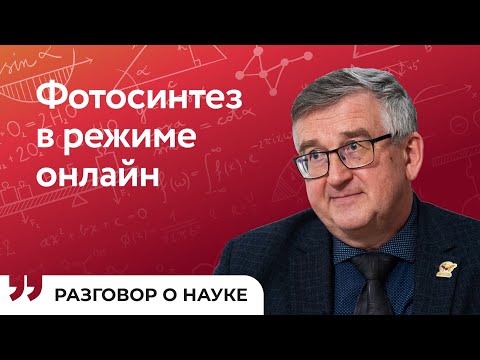 Видео: Как цифровые технологии помогают отслеживать динамику агро-экологических процессов | Иван Васенев