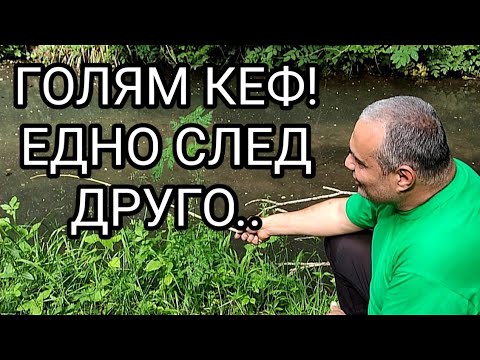 Видео: СТРАХОТЕН РЕЧЕН РИБОЛОВ НА ПЛУВКА С МНОГО РИБА И МНОГО ЕМОЦИИ! КЪЛВЕ НА ЗЕМЕН ЧЕРВЕЙ ДОСАМИ БРЕГА!!!